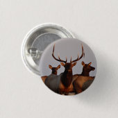 E66 Stierelanden en Koeien Ronde Button 3,2 Cm (Voorkant /achterkant)
