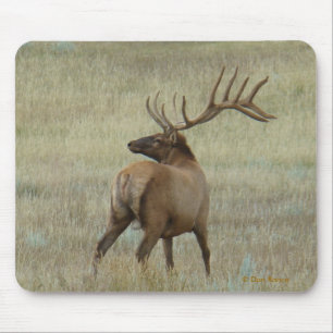 E6 Bull Elk in Fluwelen Ouderdom Muismat