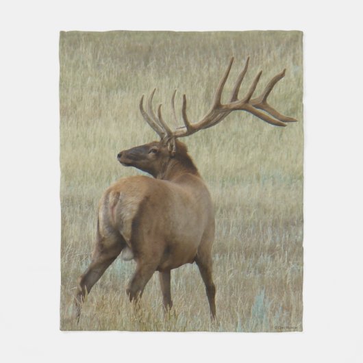 E6 Bull Elk in Velvet Fleece Deken (Voorkant)