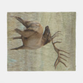 E6 Bull Elk in Velvet Fleece Deken (Voorkant (Horizontaal))