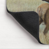 E6 Bull Elk in Velvet Muismat (Hoek)