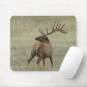 E6 Bull Elk in Velvet Muismat (Met muis)