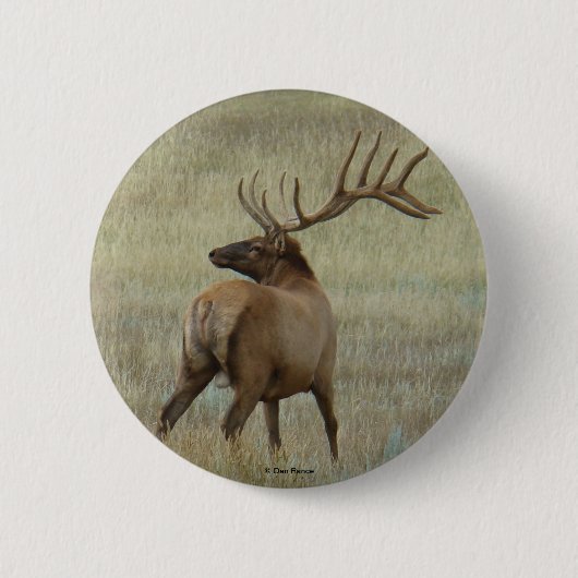 E6 Bull Elk in Velvet Ronde Button 5,7 Cm (Voorkant)