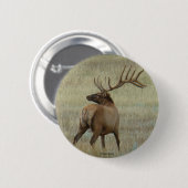 E6 Bull Elk in Velvet Ronde Button 5,7 Cm (Voorkant /achterkant)