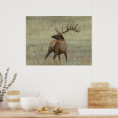 E6 Bulleneland in fluweel Poster (Keuken)