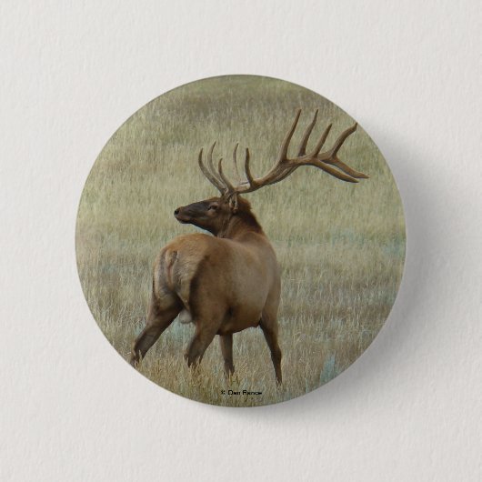 E6 Bulleneland in fluweel Ronde Button 5,7 Cm (Voorkant)