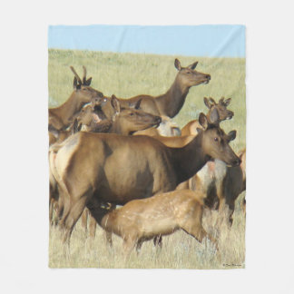 E7 Koe-eland Voert Kalf Fleece Deken