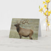 E8 Bull Elk in Fluwelen Gewei Kaart (Gele Bloem)