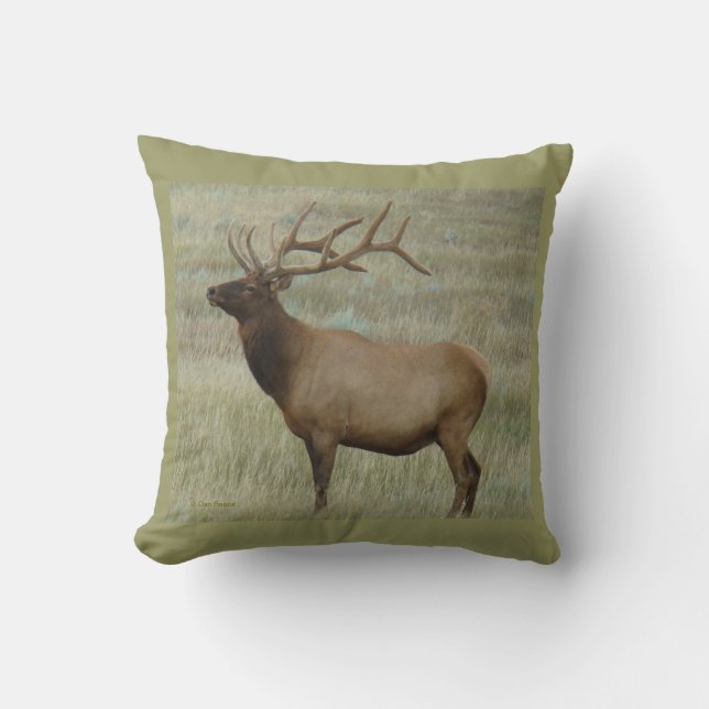 E8 Bull Elk in Fluwelen Ouderdom Kussen (Voorkant)