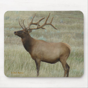 E8 Bull Elk in Fluwelen Ouderdom Muismat