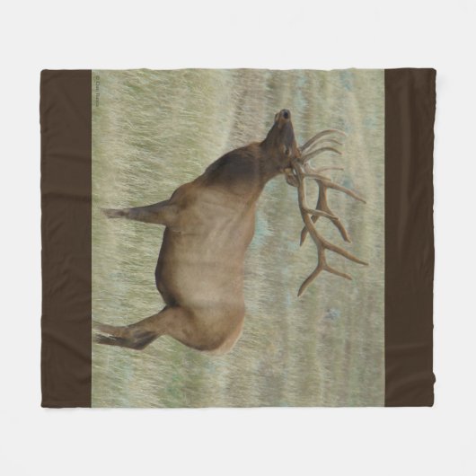 E8 Bull Elk in Velvet Fleece Deken (Voorkant (Horizontaal))