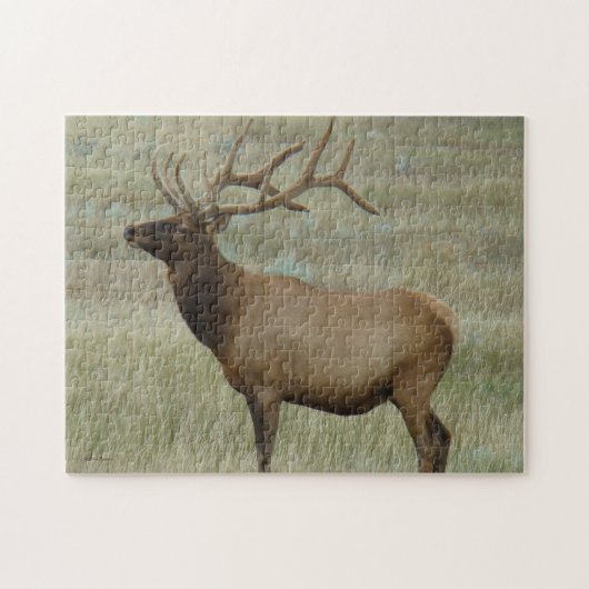 E8 Wapiti in fluweel Legpuzzel (Horizontaal)