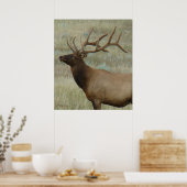 E9 Bull Elk in Velvet Head en Shoulders Poster (Keuken)