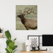 E9 Bull Elk in Velvet Head en Shoulders Poster (Thuiskantoor)
