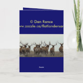 E9 Bull Elk in Velvet Kaart (Achterkant)