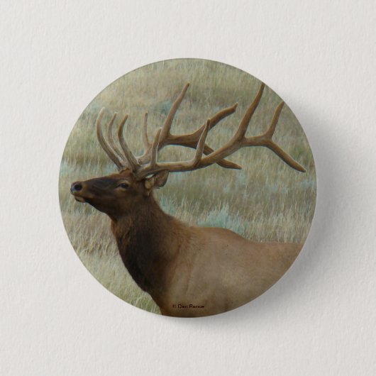 E9 Bull Elk in Velvet Ronde Button 5,7 Cm (Voorkant)