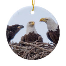 E9 & Family Holiday Ornament