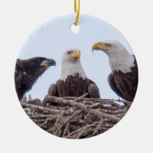 E9 & Family Holiday Ornament