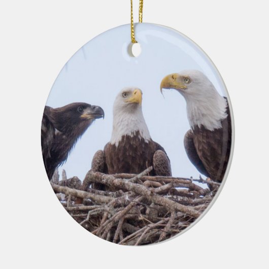 E9 & Family Holiday Ornament (Links)