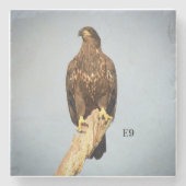 E9 onderzetter (Voorkant)