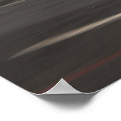 E-2C Hawkeye Poster (Hoek)