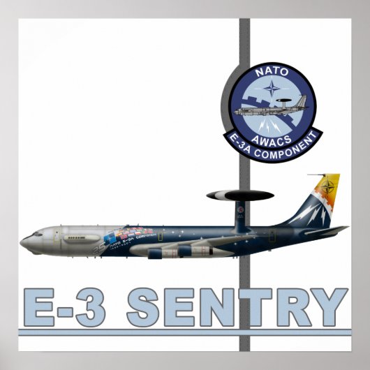 E-3 Sentry Print (Voorkant)