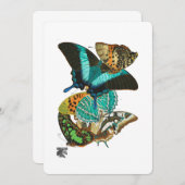 E.A. Séguy  Butterflies Illustratie Kaart (Voorkant / Achterkant)