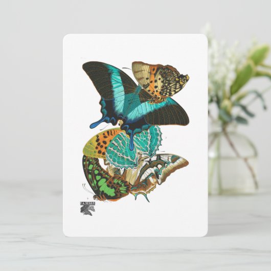 E.A. Séguy  Butterflies Illustratie Kaart (Staand voorkant)