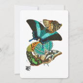 E.A. Séguy  Butterflies Illustratie Kaart (Voorkant)