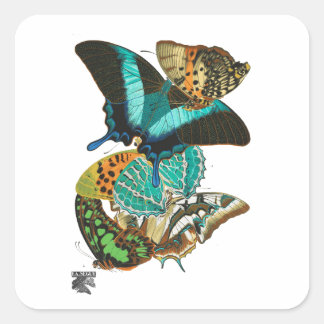 E.A. Séguy  Butterflies Illustratie Vierkante Sticker
