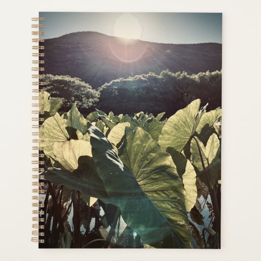 E ala e ka la i kahikina planner (Voorkant)