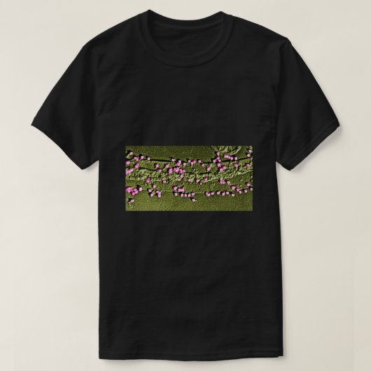 E Coli Cell Wall met bacteriofagen 1 T-shirt (Design voorkant)