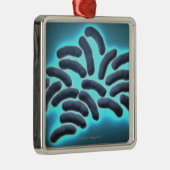 E-coli cellen 2 metalen ornament (Rechts)