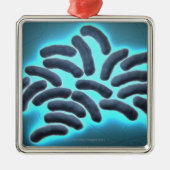 E-coli cellen 2 metalen ornament (Voorkant)
