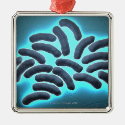 E-coli cellen 2 metalen ornament (Voorkant)