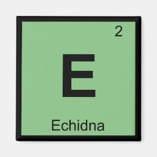 E - Echidna - Grieks chemiesurieschema Magneet