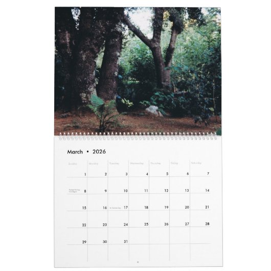 E.J. Gold's Zen Garden Kalender (Mar 2026)