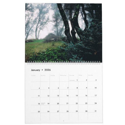 E.J. Gold's Zen Garden Kalender (Jan 2026)