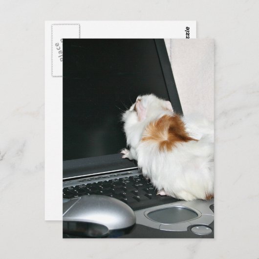 E-mail me! briefkaart (Voorkant / Achterkant)