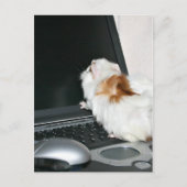 E-mail me! briefkaart (Voorkant)