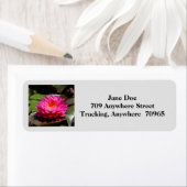 E-mailing adresetiketten retourneren #30 etiket (Insitu)