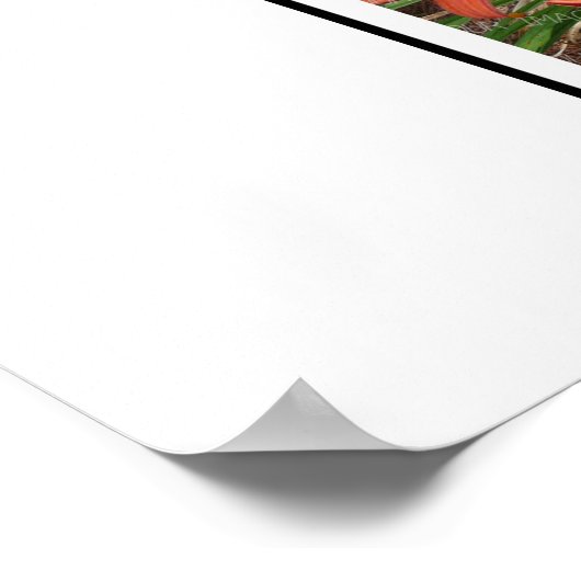 E Monogram Creëer Uw Eigen 8 Aangepaste fotocollag Poster (Hoek)