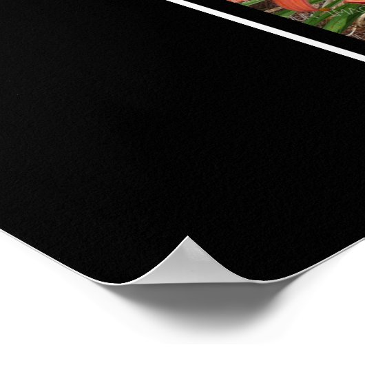 E Monogram Creëer Uw eigen 8 Foto Collage Black Poster (Hoek)