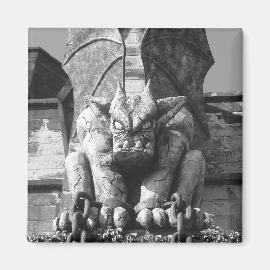E.S.Pen. Gargoyle Magnet (Voorkant)
