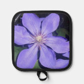 é sarine pannenlap (Voorkant)