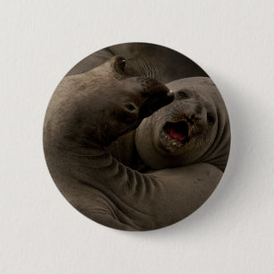 E-Seals Curve-Button Ronde Button 5,7 Cm