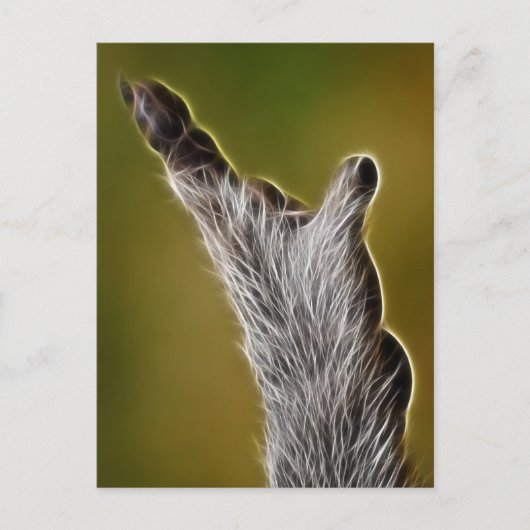 E.T. BRIEFKAART (Voorkant)