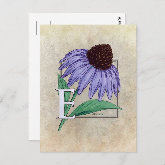E voor Echinacea BloemMonogramkaarten Briefkaart (Voorkant / Achterkant)