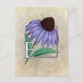 E voor Echinacea BloemMonogramkaarten Briefkaart (Voorkant)