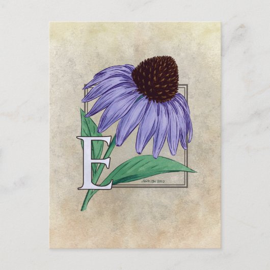 E voor Echinacea BloemMonogramkaarten Briefkaart (Voorkant)